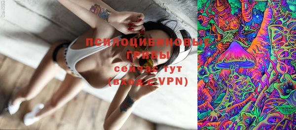 метадон Алексеевка
