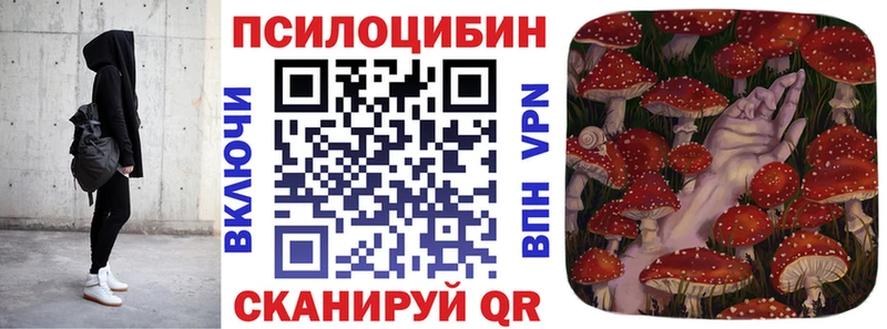 ОМГ ОМГ как зайти  цена наркотик  Волгодонск  Псилоцибиновые грибы Cubensis 